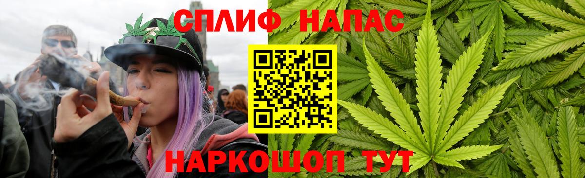 Конопля White Widow  МАРИХУАНА конопля  Конопля MAZAR  Вход с VPN  Семёнов 
